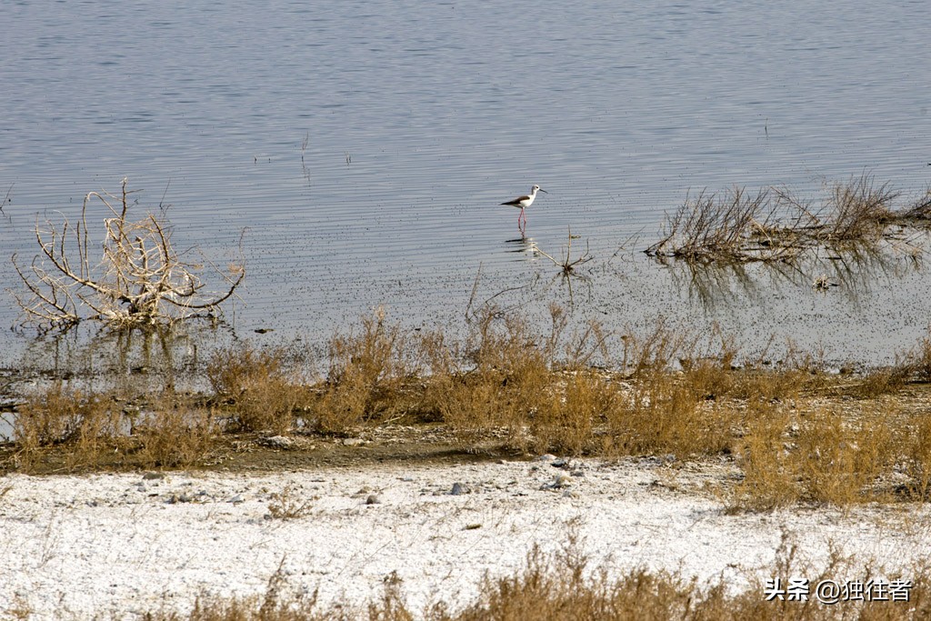 山西运城为中国做了多少贡献,运城盐湖死海历史文化