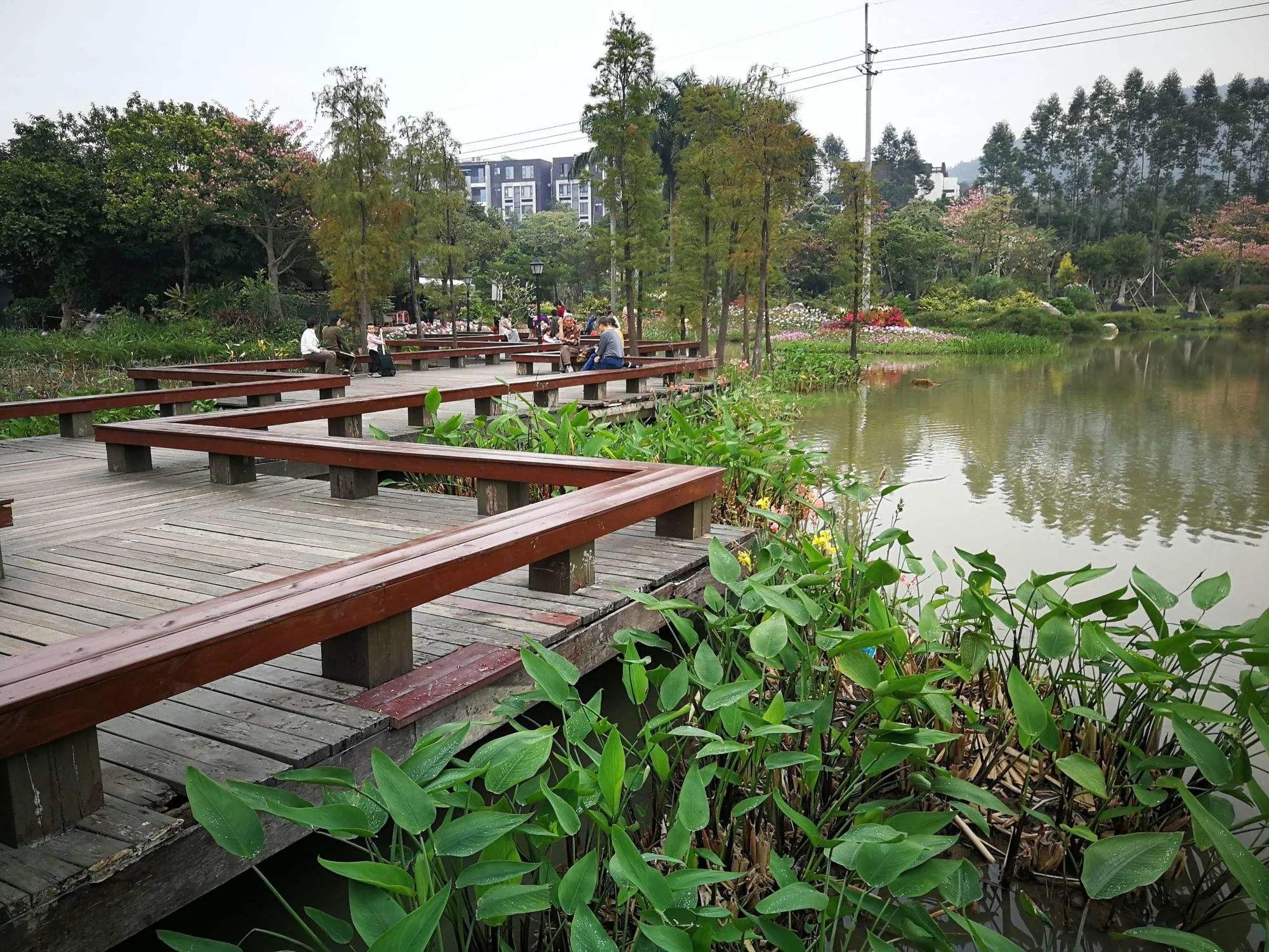 广州有什么免费游玩景点推荐,广州旅游哪个景点比较好免费的