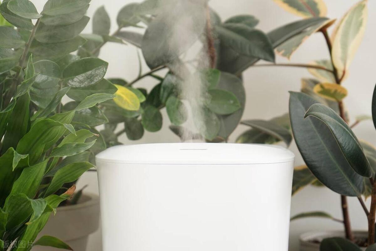 购买加湿器哪个品牌好,352加湿器值得购买吗