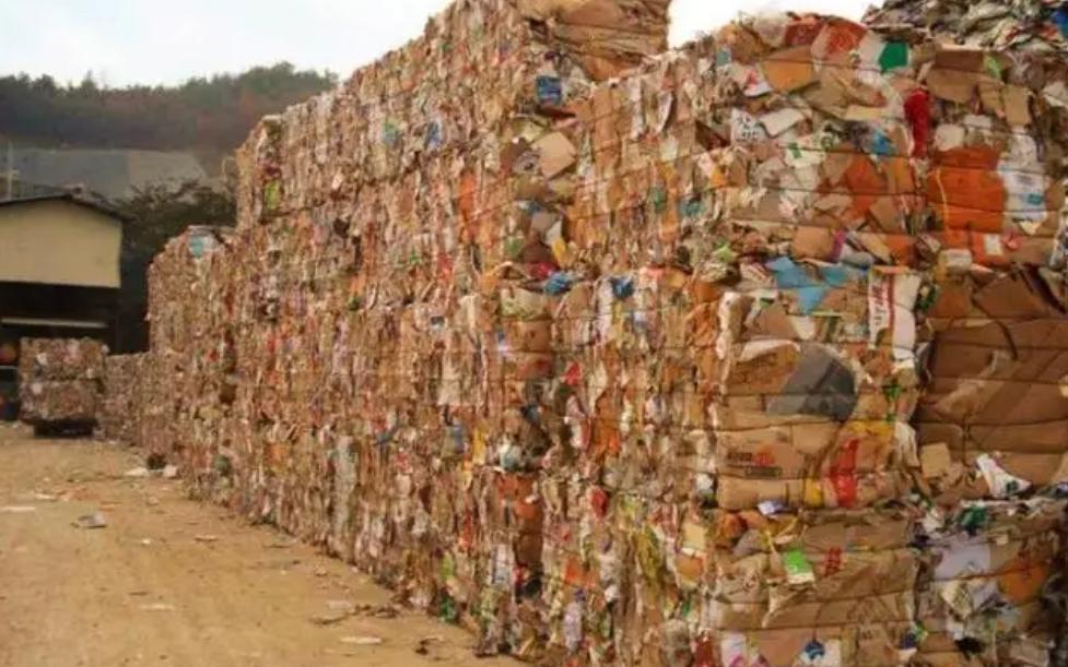 我国第一女首富,靠着不起眼的小生意发家致富,如今世界闻名