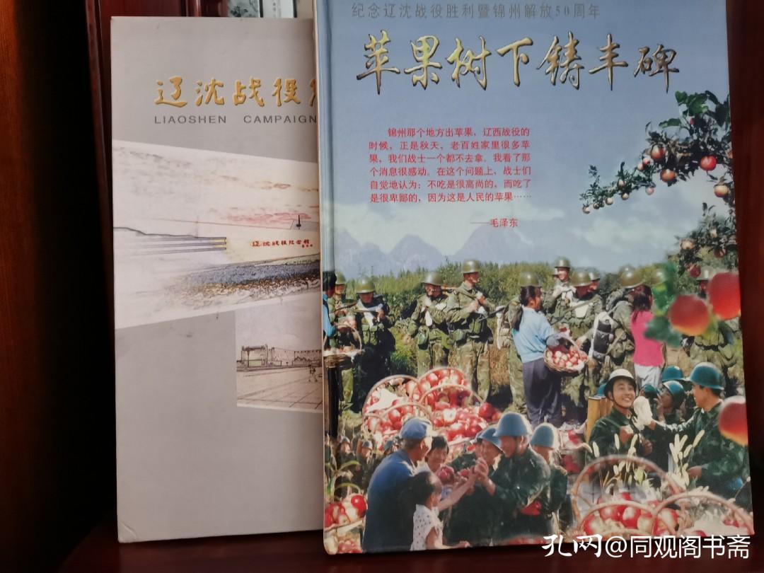 伟大的战役完整版视频,大决战之辽沈战役炮击锦州