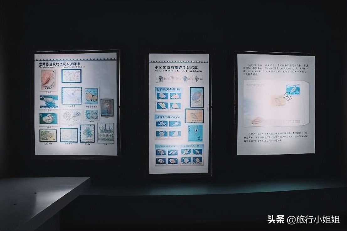 夏日海边微醺氛围感,滨城风光秀丽浪漫气息爆表