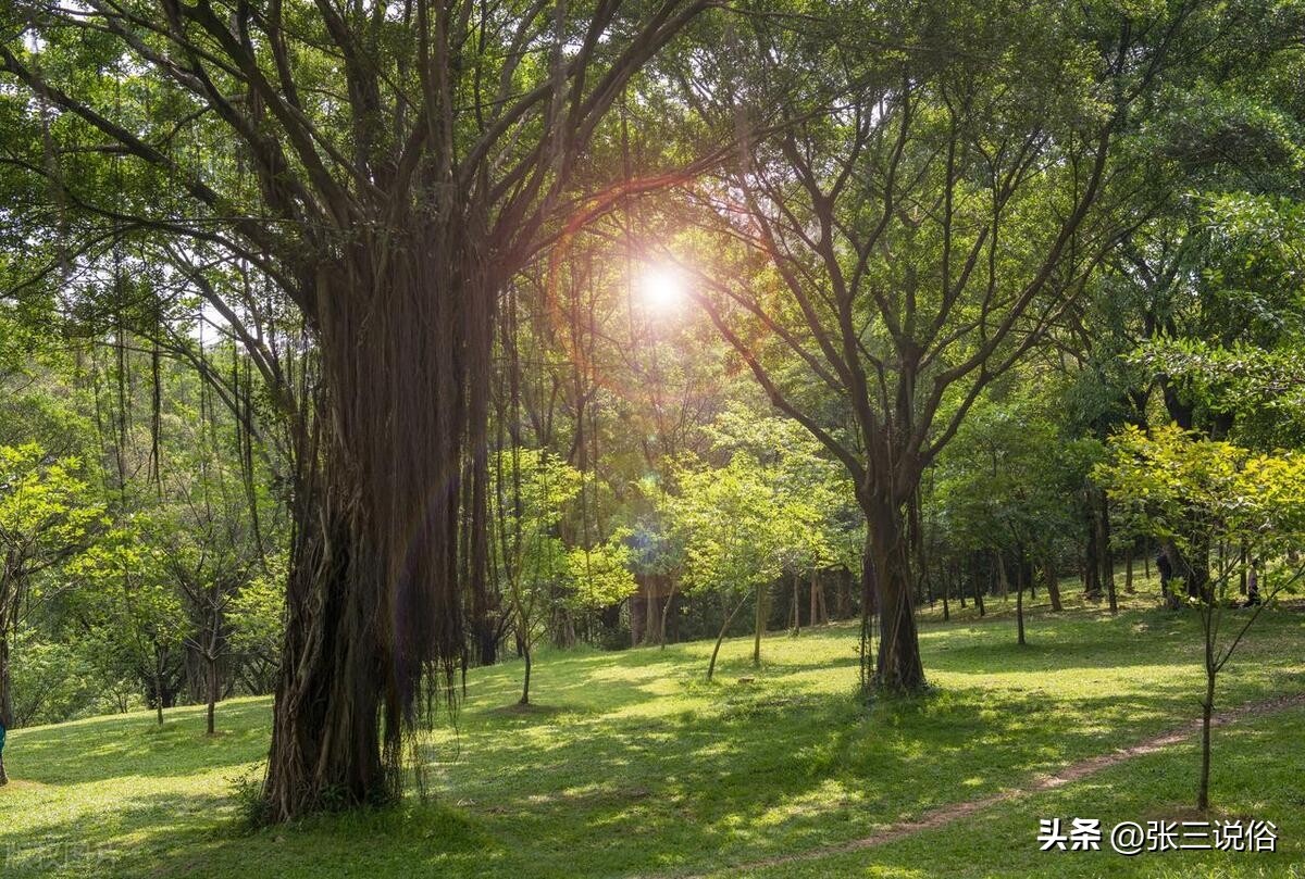 5月2日是离日和废日，老话“离日不娶亲，废日不嫁女”：啥说法