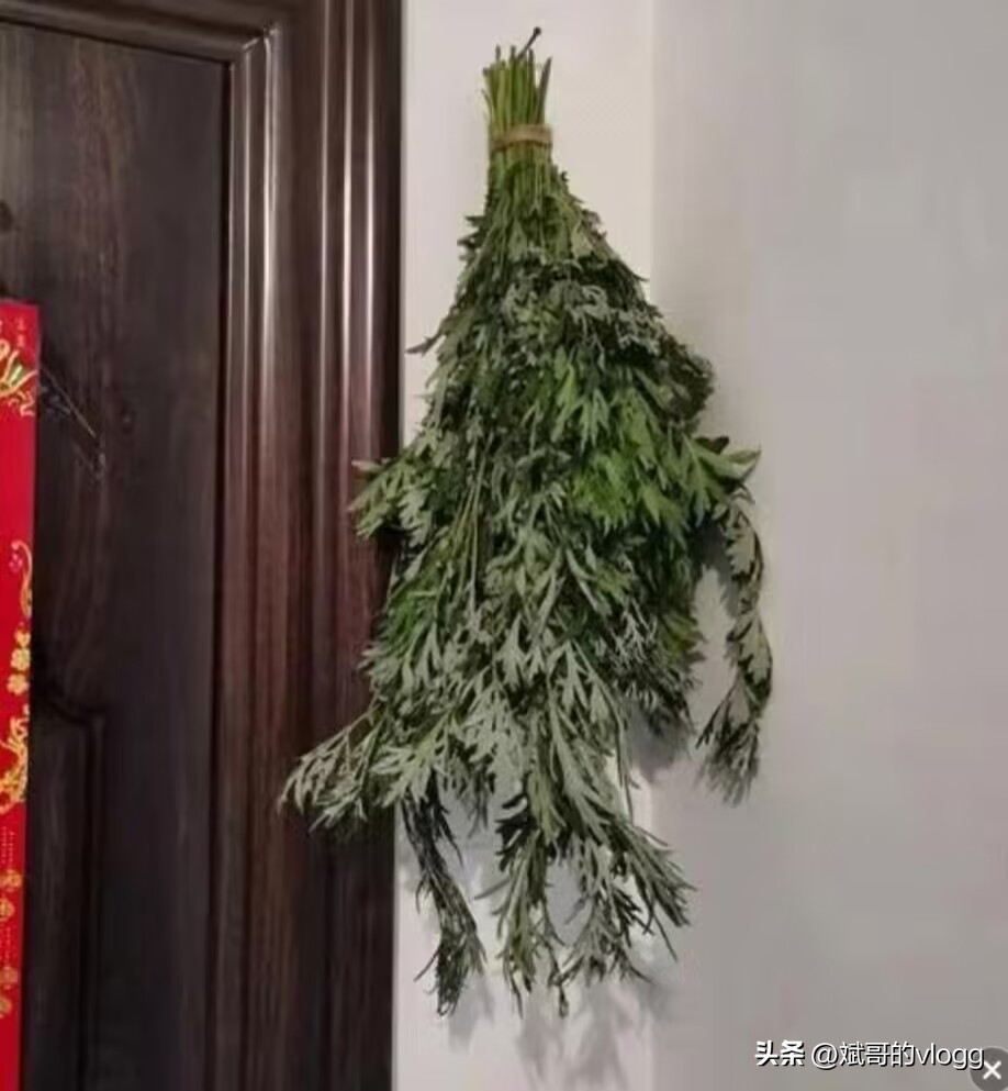 端午节最真实的由来,端午节的风俗简介和背景简介