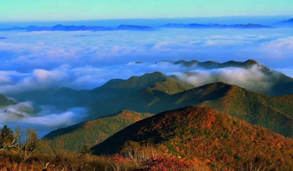 辽宁本溪市,辽宁本溪市共享租赁项目加盟电话