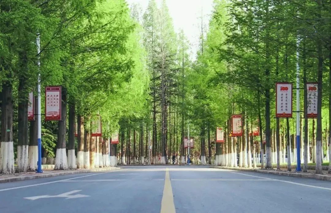 数字+干货，选择大连理工的8大理由！欢迎电联！