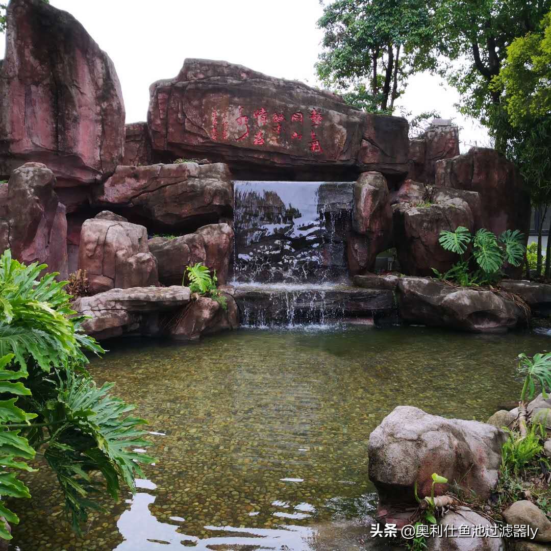 锦鲤鱼池多久换一次水,锦鲤水浑浊绿