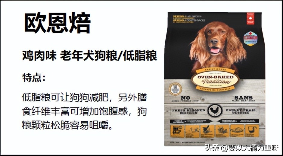 泰迪老年狗粮排行榜前十名,泰迪幼犬狗粮哪种好