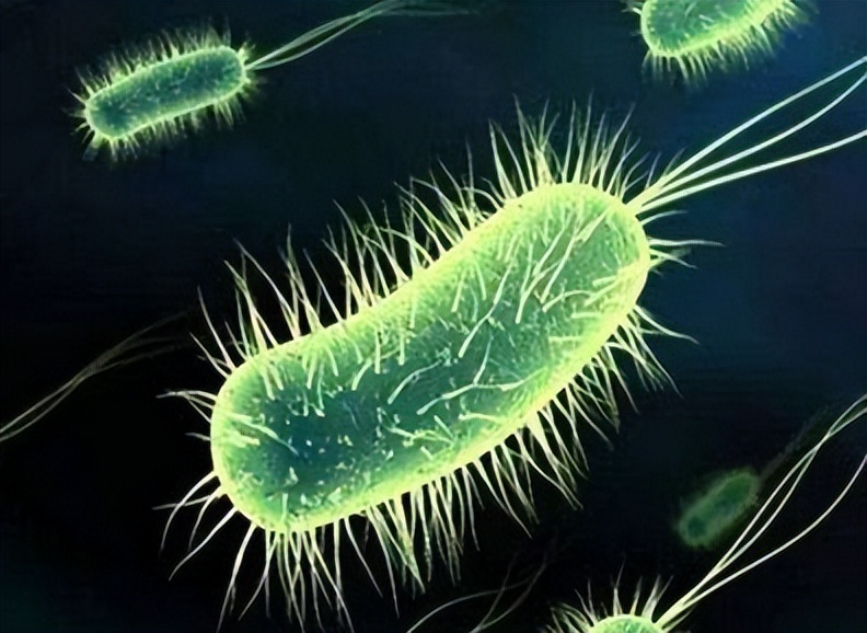 内衣裤穿一天到底有多脏,穿一天的裤子后边有异味