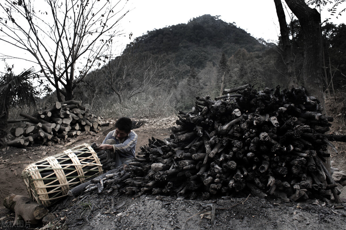为环保封炉子,为了环保封堵灶坑