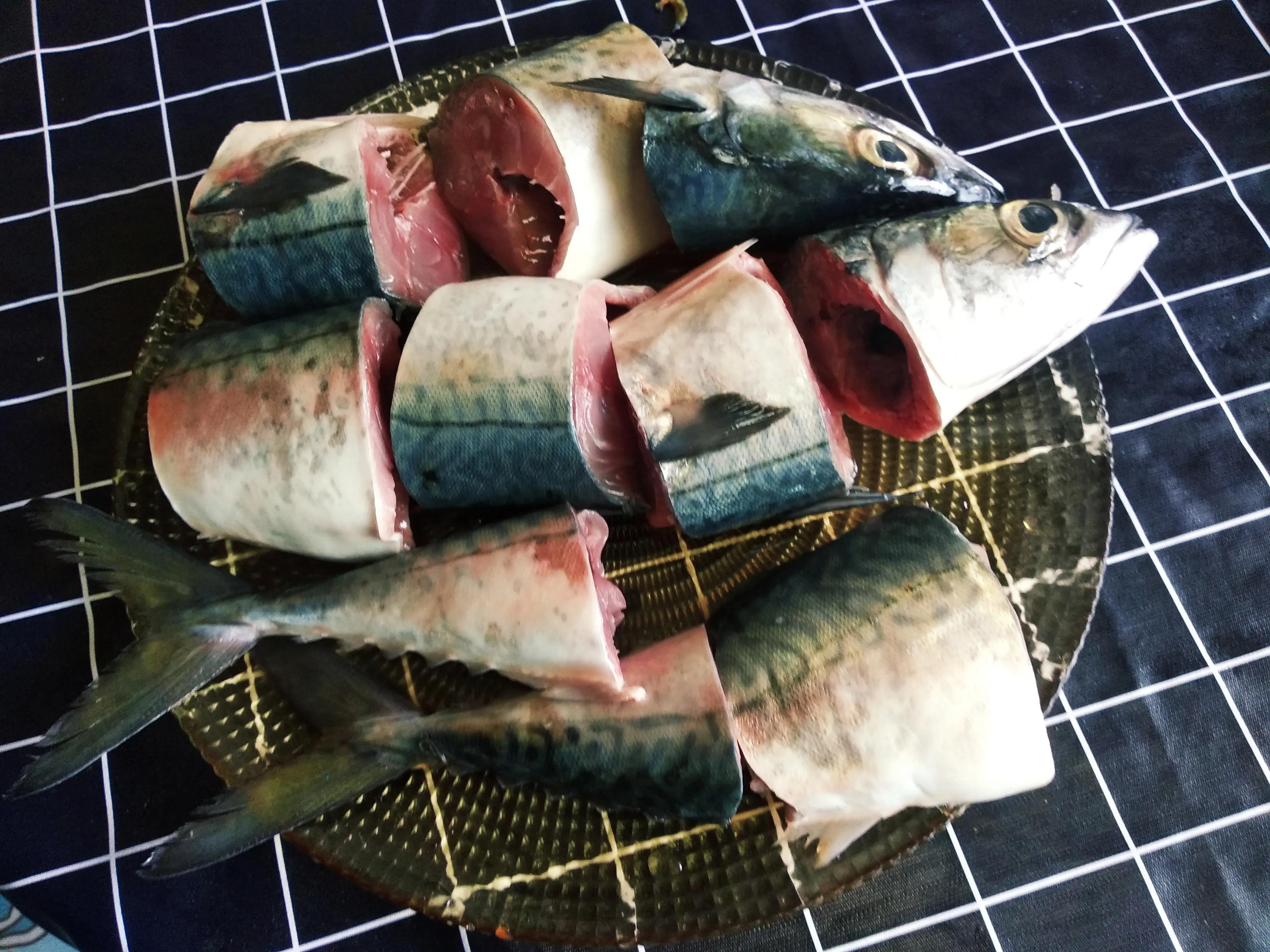 15种常见的海鱼,100种常见食用海鱼图谱