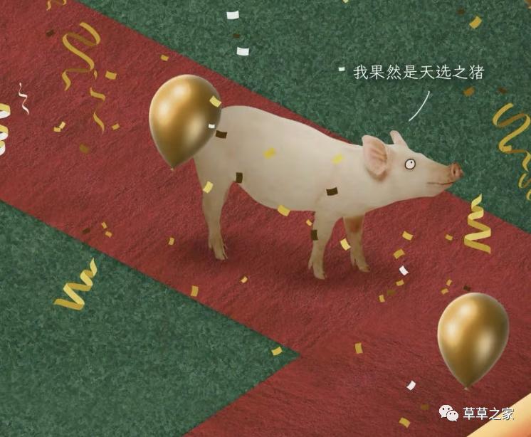 自强不息的一生，*猪种**的一生，生下来就被注定，看后你会感同身受