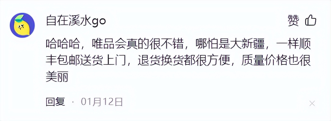 costco与唯品会,大牌折扣唯品会到底是怎么做到的