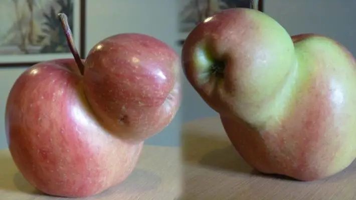 长得丑被抛弃,长得丑被人抛弃