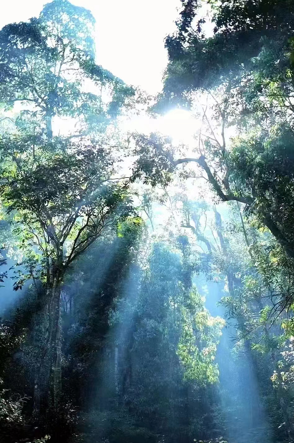 薄荷塘之前叫什么,薄荷塘为什么要叫薄荷塘