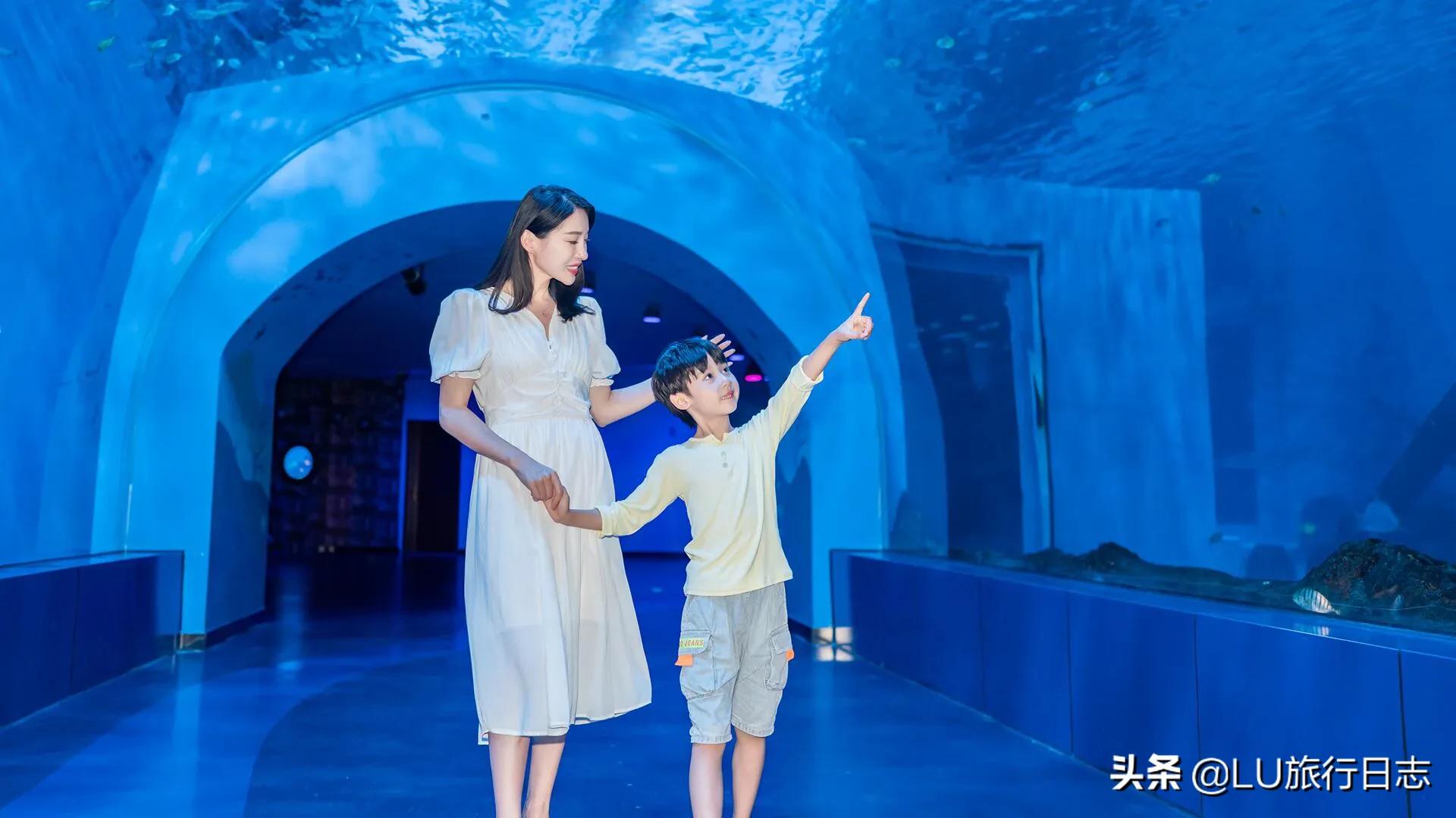 夏至|蝉鸣惊半夏，乐园极地纳清凉