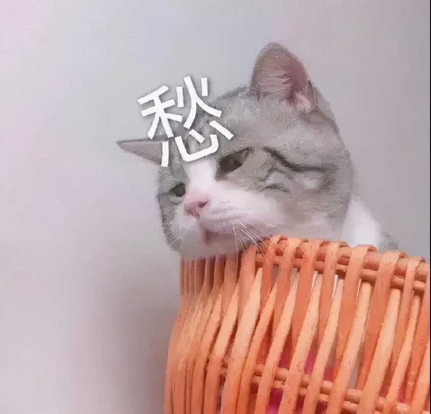 闲鱼上看到的奇葩商品,看到闲鱼买家搞笑视频