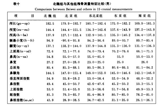 大同北魏是什么民族,大同市北魏墓群