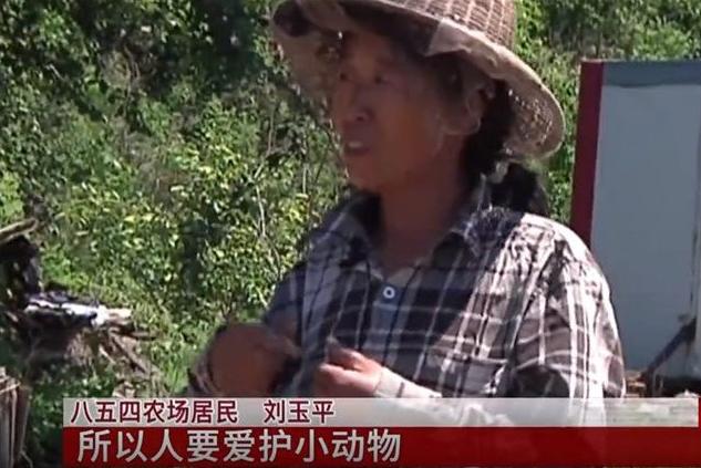 黑龙江养蜂女刘玉平：与20条大蛇同睡在一张床上，至今没被咬过