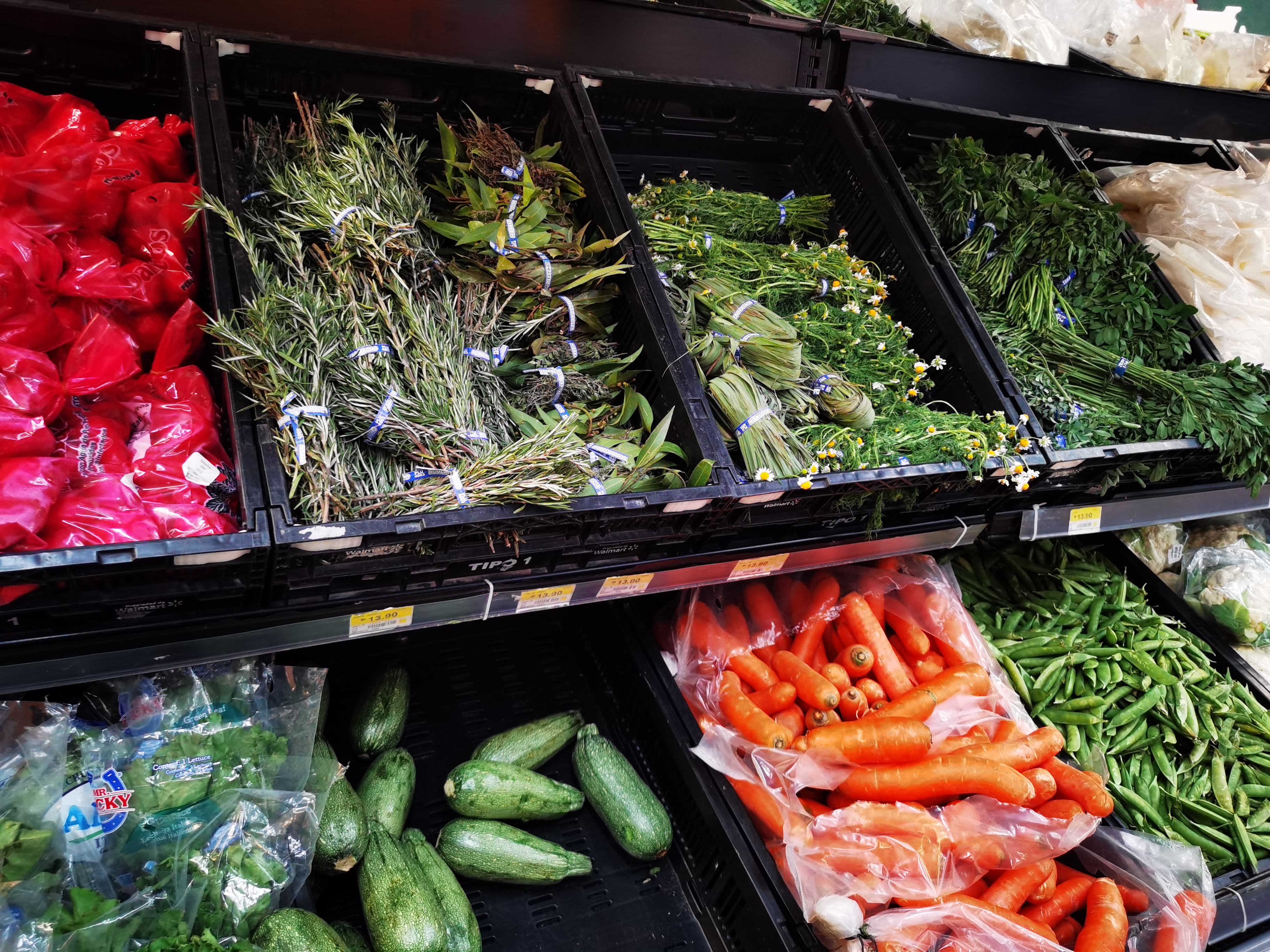 追忆2019旅行片段,墨西哥旅游攻略购物清单