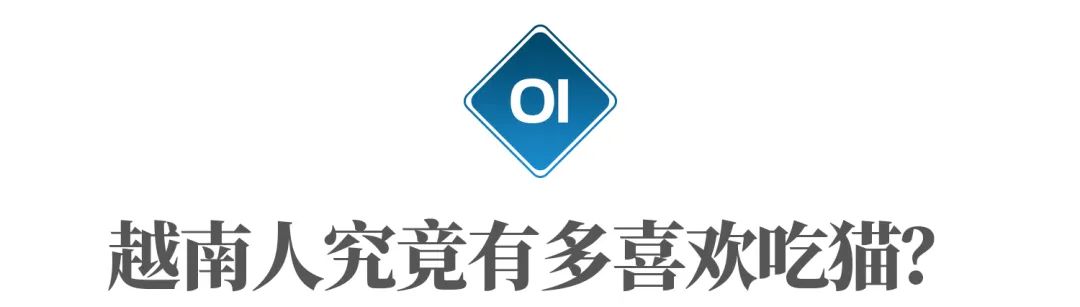 越南为什么没有苍蝇蚊子,越南为什么没有大熊猫