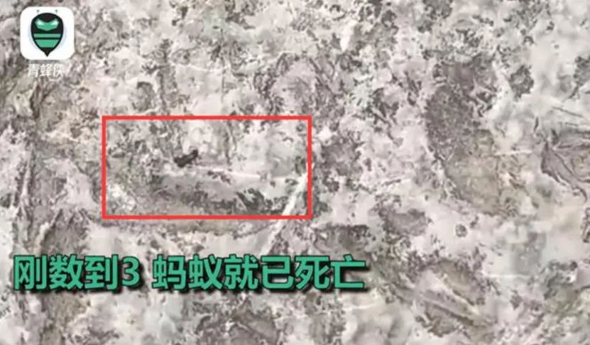 天气太热热死人的是什么病,热射病为啥不能降温