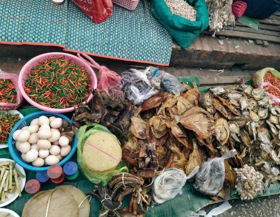 实拍老挝动物市场,老挝珍稀动物交易市场