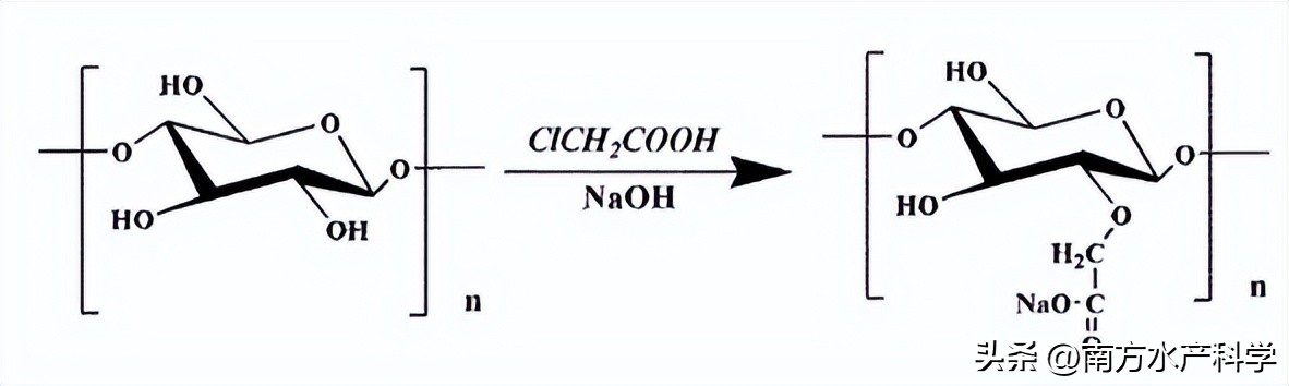 藻多糖功效,藻多糖的作用与功效