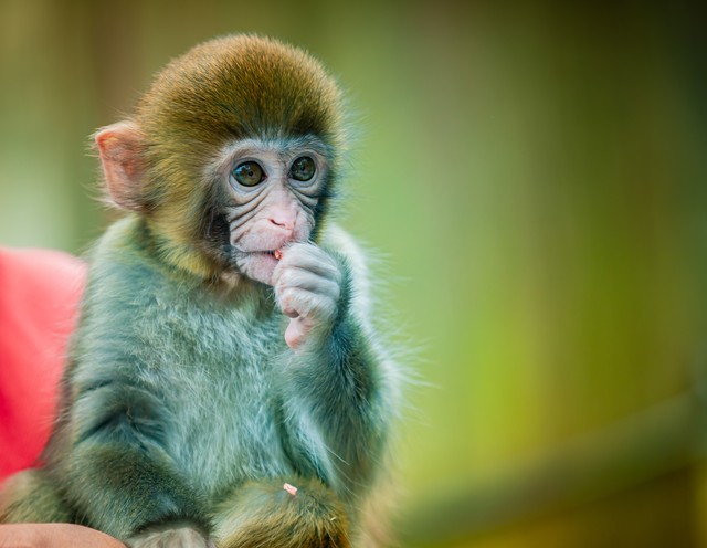 自媒体如何快速做视频教程,做自媒体如何写视频教程