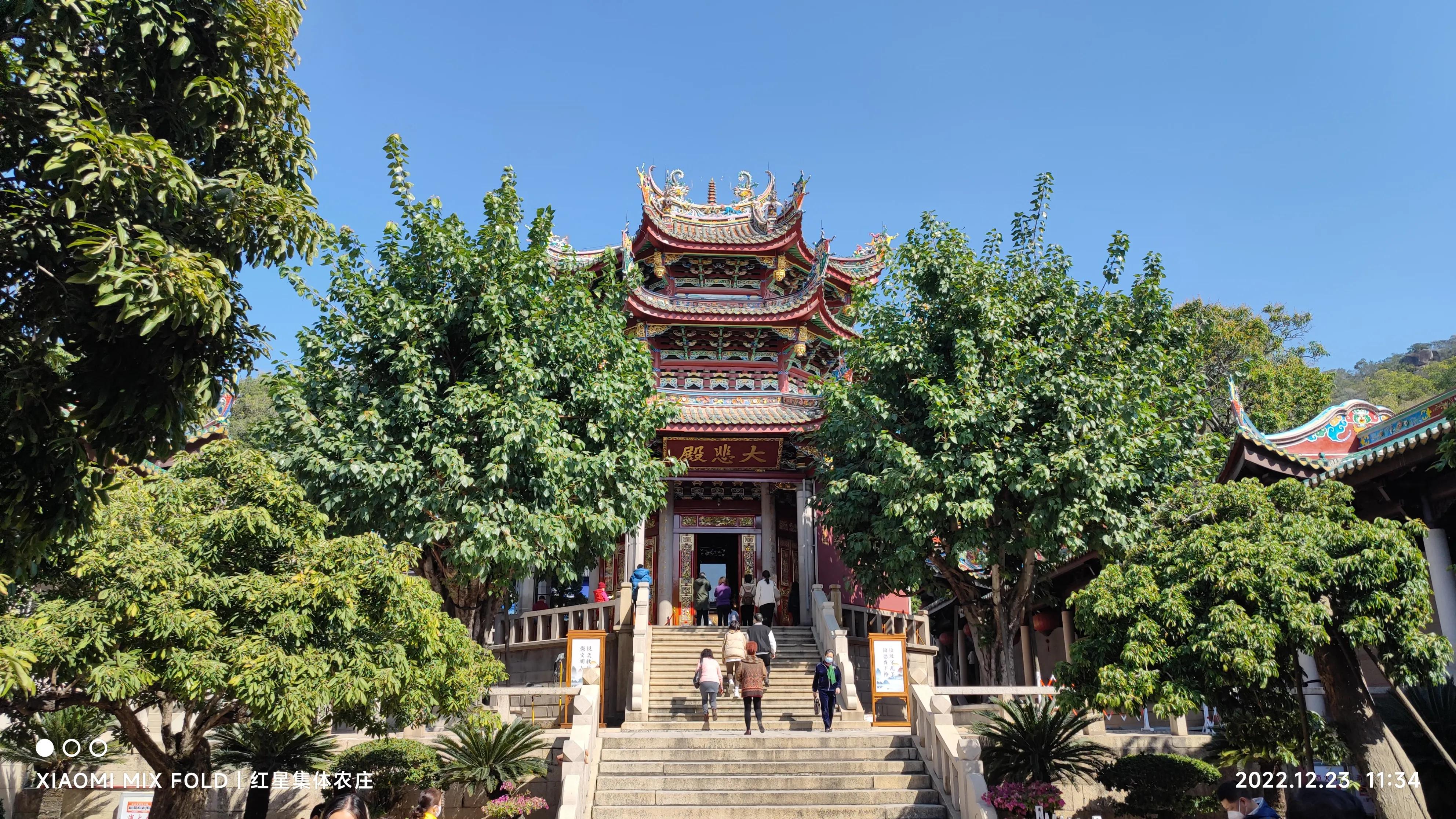 鏋彾鏄ョ鍘熷垱,鏋彾鏄ョ