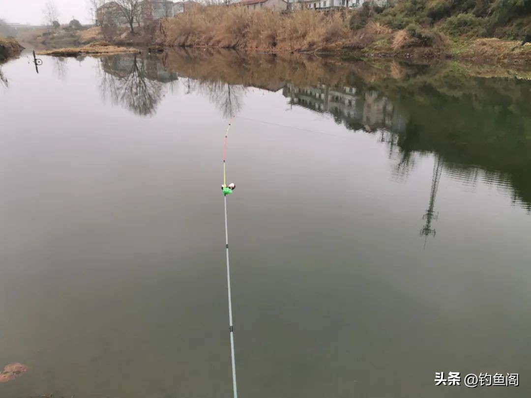 冬天串钩蚯蚓钓大板鲫,筏竿串钩挂蚯蚓冬季钓鱼技巧