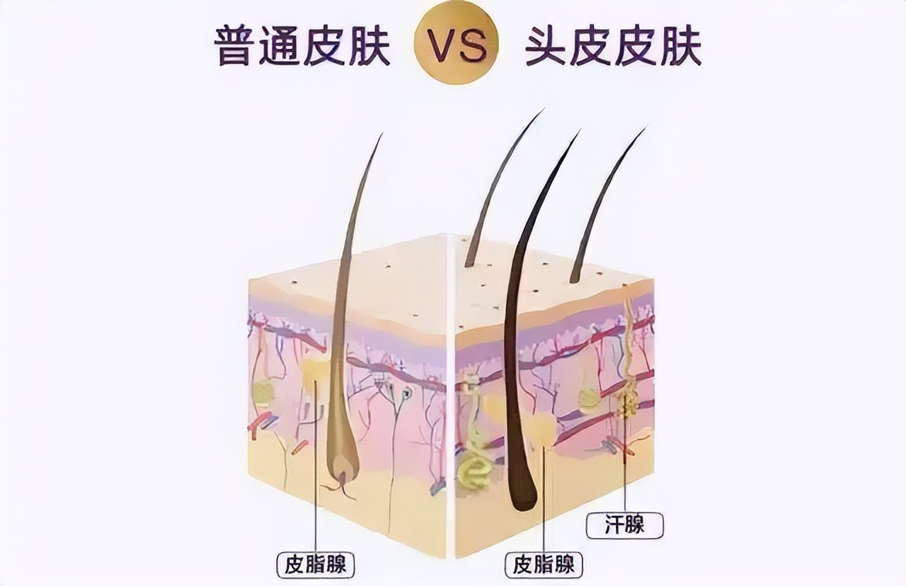 淘米水让白发变黑发吗,淘米水洗发水真的能让白发变黑吗