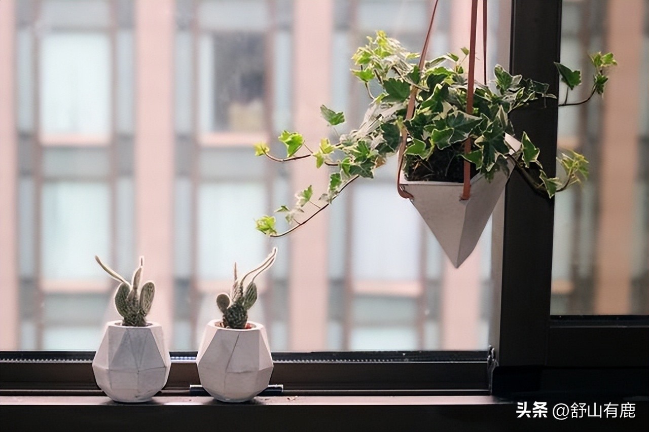 命硬表现,命硬是什么征兆