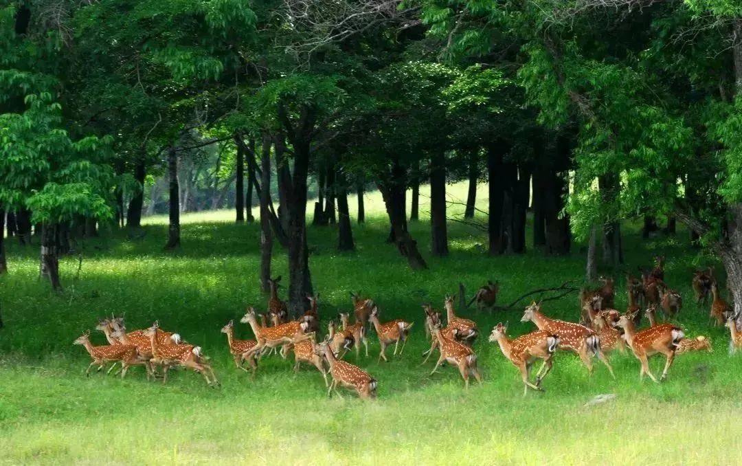 哈尔滨玩的地方推荐道里,梦幻漠河哈尔滨深度游