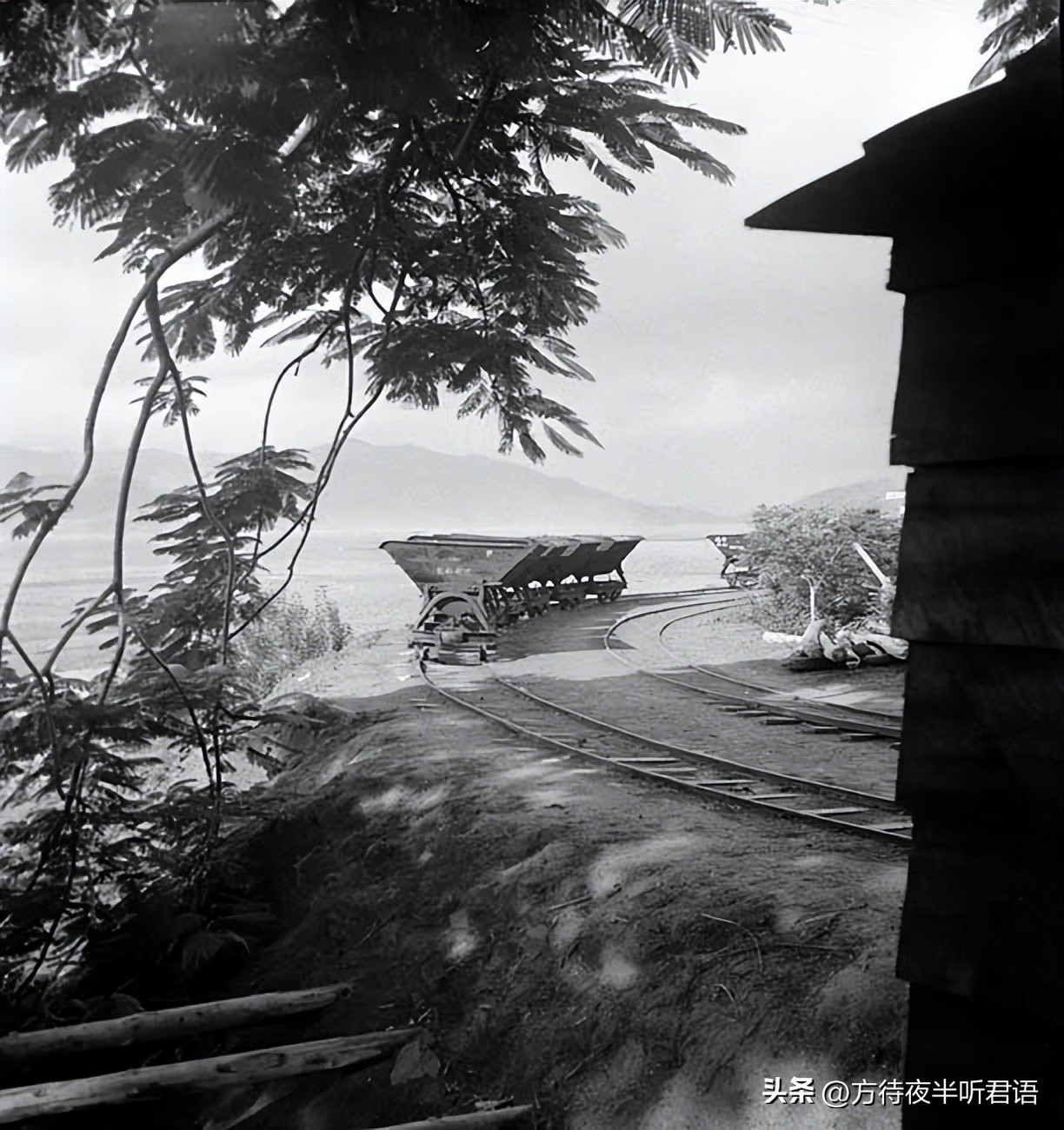 殊异之城：金石声穿过岁月的青岛留影