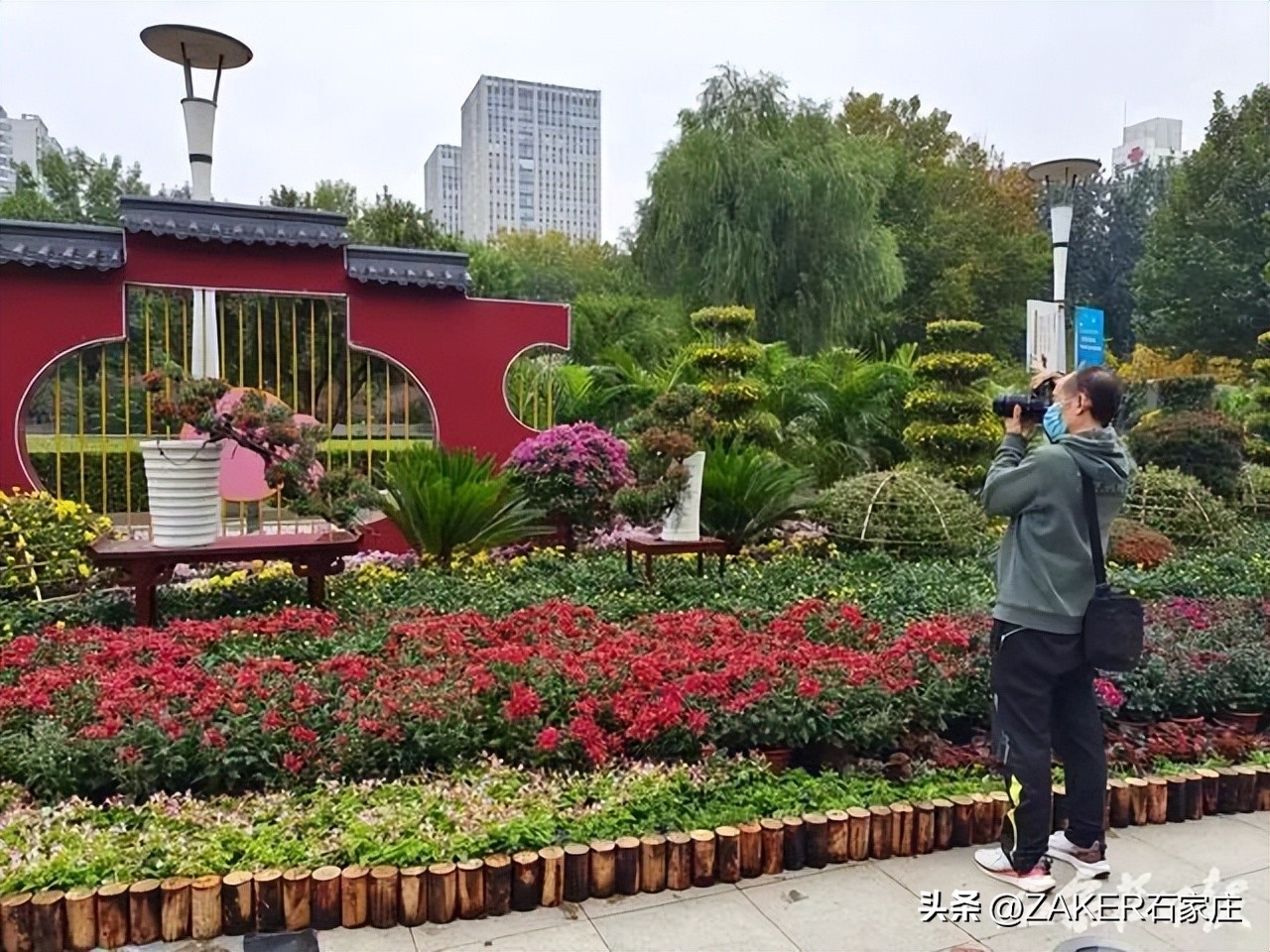 石家庄发布地震灾害预警,预警提示气象灾害河北石家庄