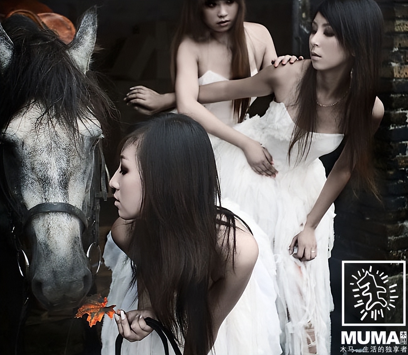 读马语者的感悟,一分钟看懂一幅摄影作品