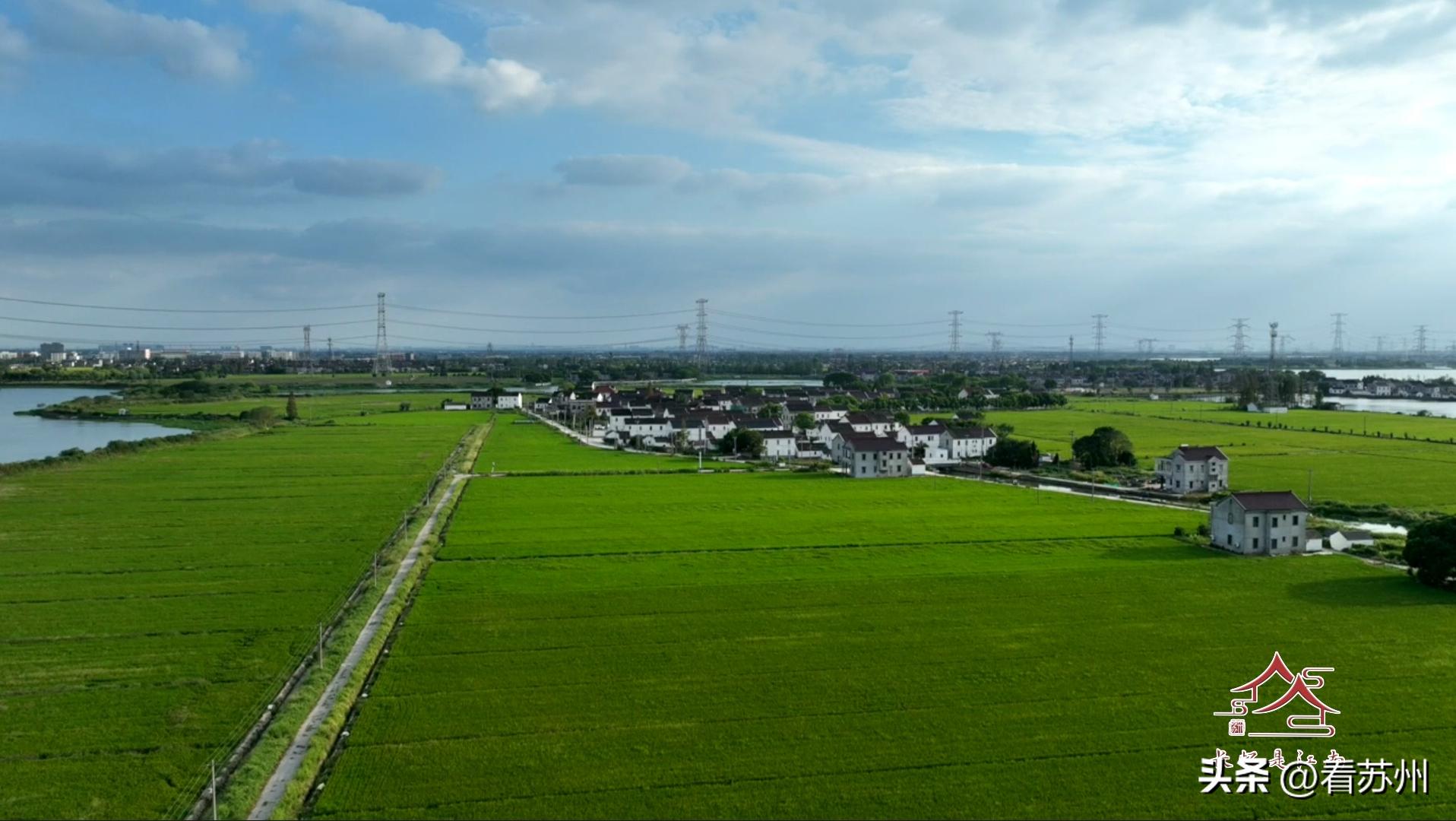 世界环境日，一起守护“地球之肾”！