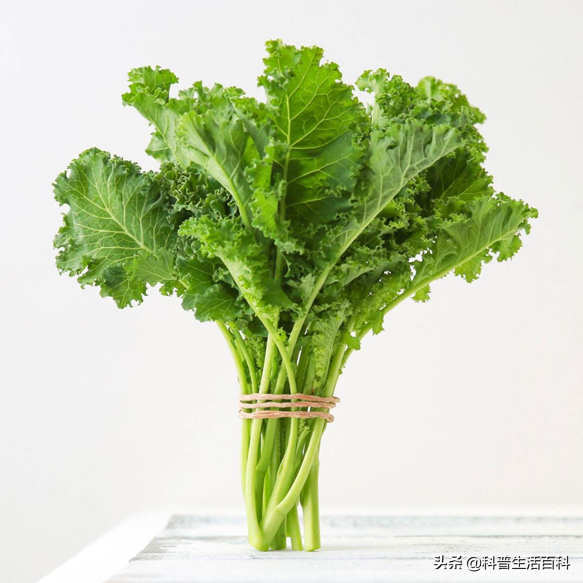 最好吃的几种食物,几种食物助睡眠