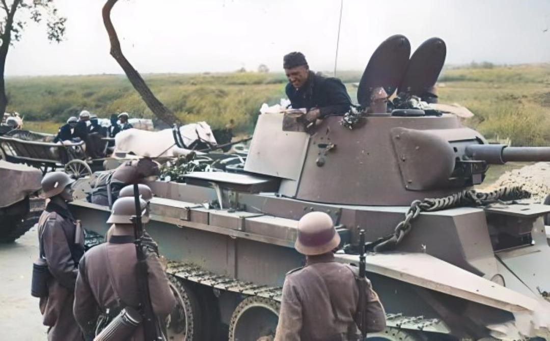 罕见的自然场景,罕见的一幕