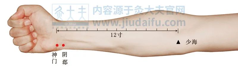 小儿长高灸什么穴,艾灸哪个穴位能帮助孩子长身高