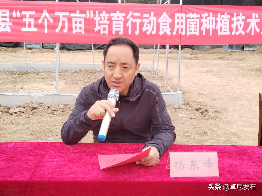食用菌种植技术培训简报,卓尼县食用菌