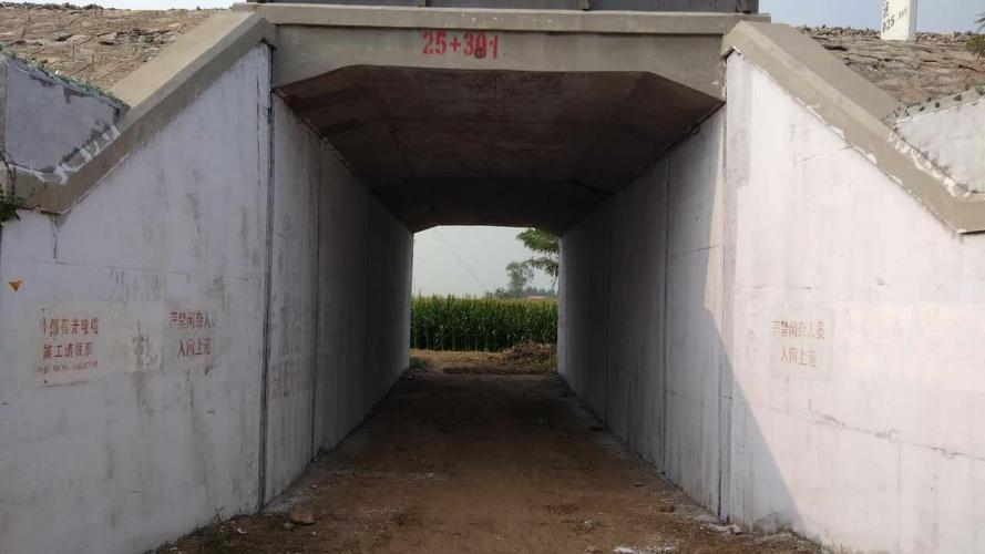 畸形的恋母情结，到底有多可怕？看完茶平文案件你就明白了