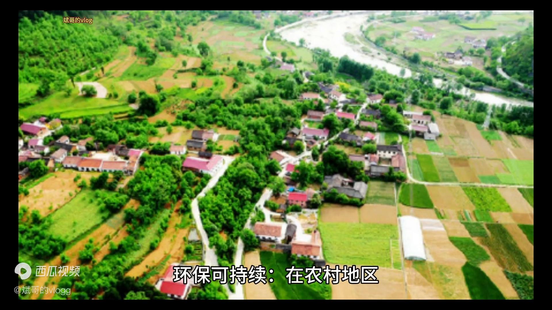 猪吃红薯藤有什么好处,红薯藤猪吃了好不好