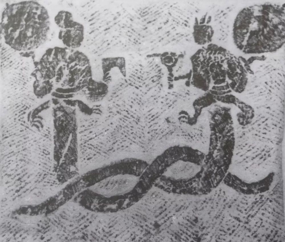 蛇为什么在一个地方不走,蛇为什么靠边走