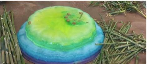 不讲武德!美国动物园为YY欢送,准备的蛋糕竟是大冰块,寒心!