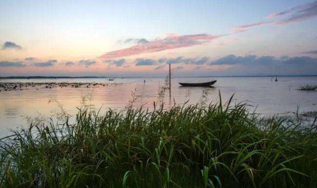 梁子湖翘嘴白鱼,梁子湖钓什么鱼