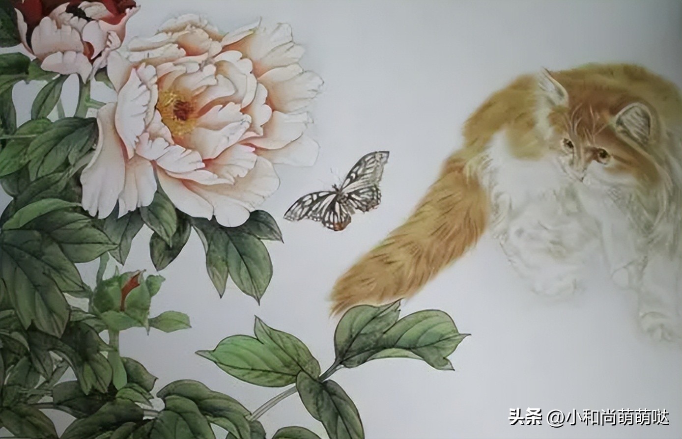 俗语“男猫三点水，女猫一丘田”是什么意思？有什么说法和道理？