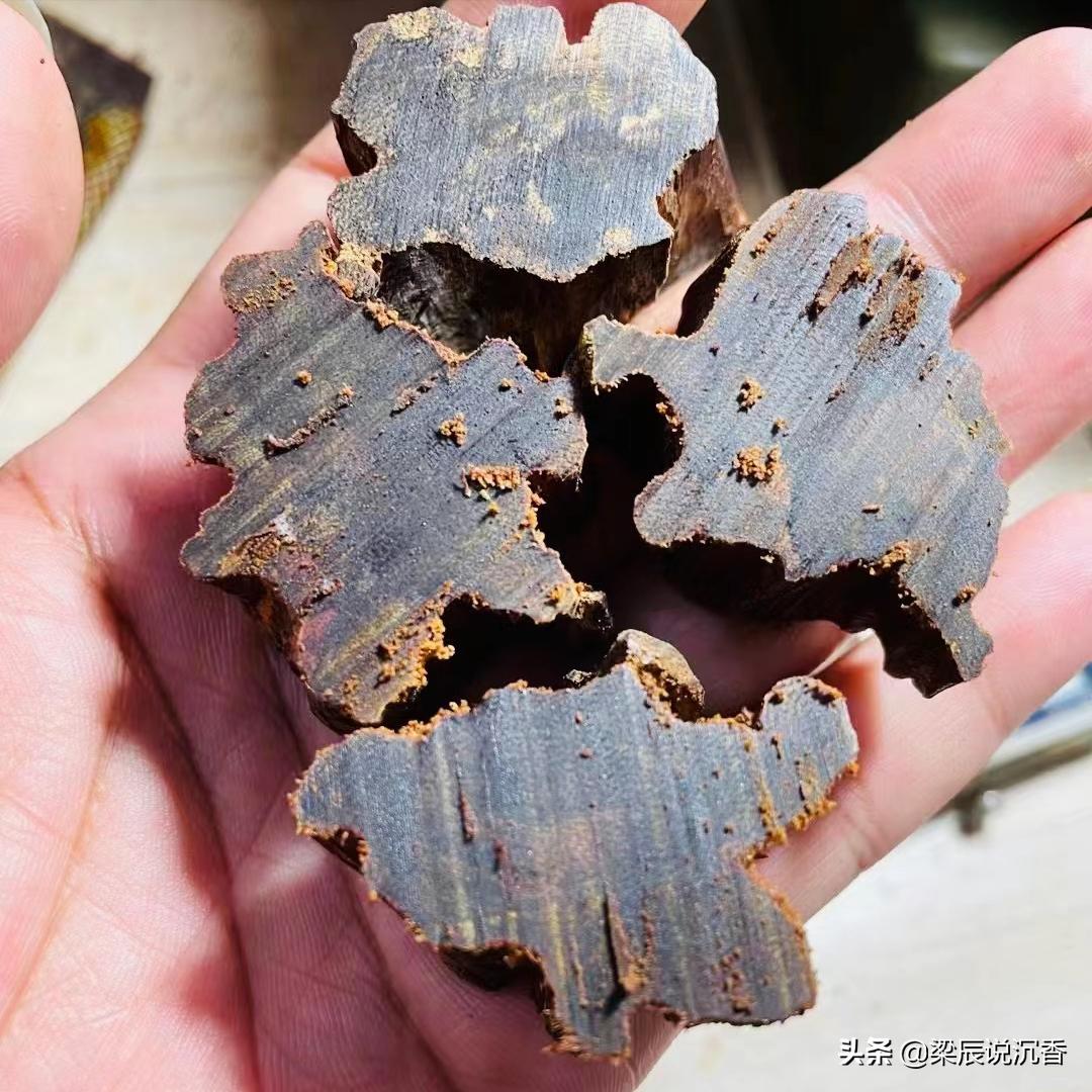 越南沉香是沉香吗,越南芽庄沉香与海南沉香的区别