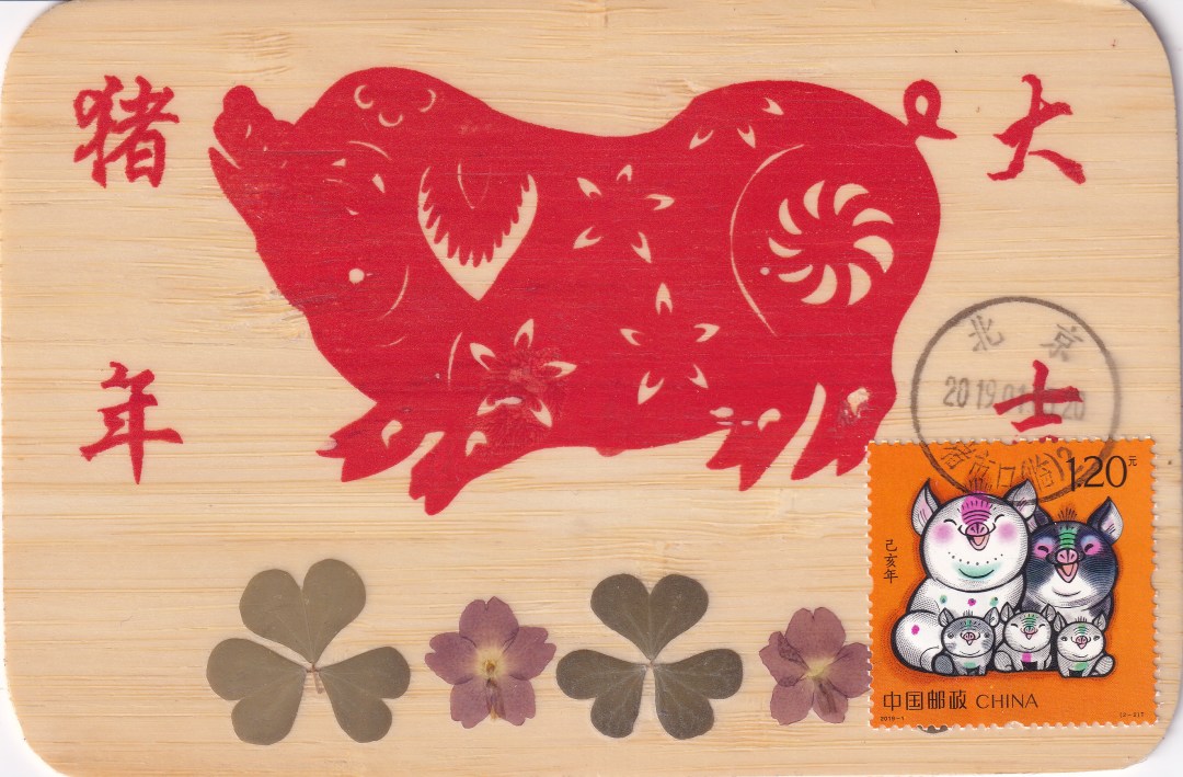 北京市猪市口（临）戳制作的极限片